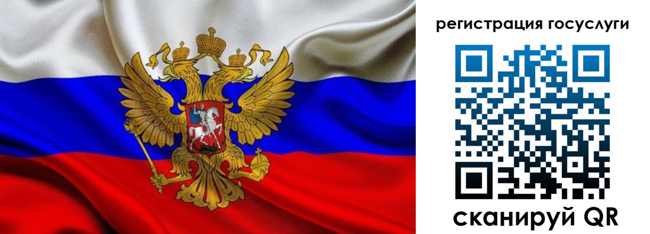 прописка гарантия в Пушкино